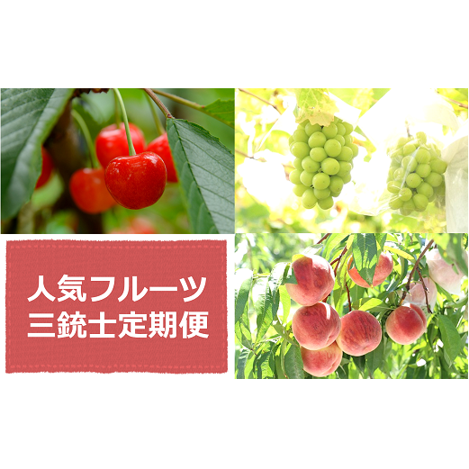 【令和7年産先行予約】 《定期便3回》 人気フルーツ三銃士定期便 『フードシステムズ』 山形県 南陽市 [2261-R7]