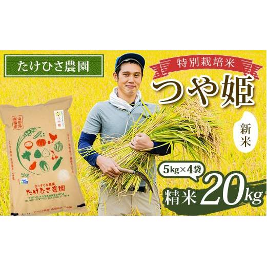 つや姫 令和6年産 島根 米 5kg 島根県産 島根米穀 お米 : 鳥取
