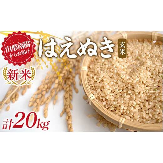 【令和7年産 新米 先行予約】 はえぬき (玄米) 20kg (10kg×2袋) 《令和7年9月下旬～発送》 『マルタニ農園』 山形南陽産 米 ご飯 農家直送 山形県 南陽市 [2391-R7]