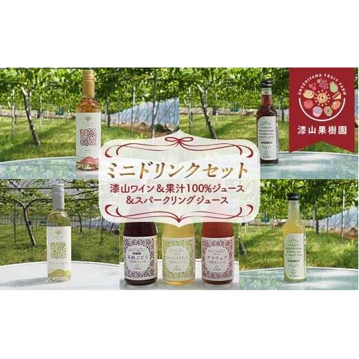 漆山果樹園ミニドリンクセット 「漆山ワイン ＆ 果汁100%ジュース & スパークリングジュース」 計7本 『漆山果樹園』 山形県 南陽市 [2354]
