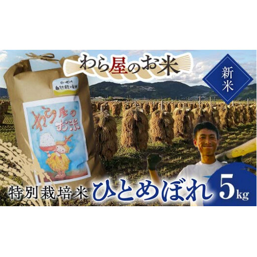 【令和7年産 新米 先行予約】 【わら屋のお米】 特別栽培米 ひとめぼれ 5kg 《令和7年10月下旬～発送》 『おがわ藁農園』 米 白米 精米 ご飯 農家直送 山形県 南陽市 [2070-R7]