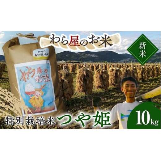 【令和7年産 新米 先行予約】 【わら屋のお米】 特別栽培米 つや姫 10kg 《令和7年10月下旬～発送》 『おがわ藁農園』 米 白米 精米 ご飯 農家直送 山形県 南陽市 [2168-R7]
