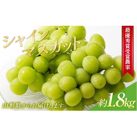 【令和8年産先行予約】 【山形県ぶどう品評会 最優秀賞受賞農家】 シャインマスカット 約1.8kg (3房入り 秀) 《令和8年9月中旬～発送》 『青木農園』 山形県 南陽市 [2027-R8]