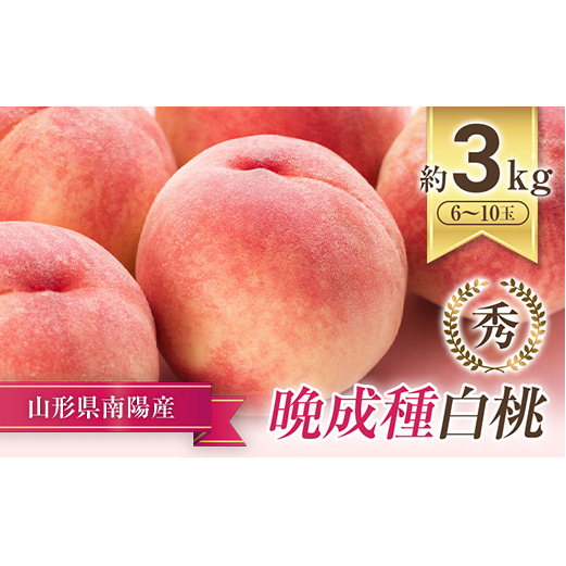 【令和8年産先行予約】 晩成のもも「だて白桃・さくら・西王母 等」 約3kg (6～11玉) 《令和8年9月中旬～発送》 『生産者 高橋 賢一』 山形県 南陽市 [1107-R8]