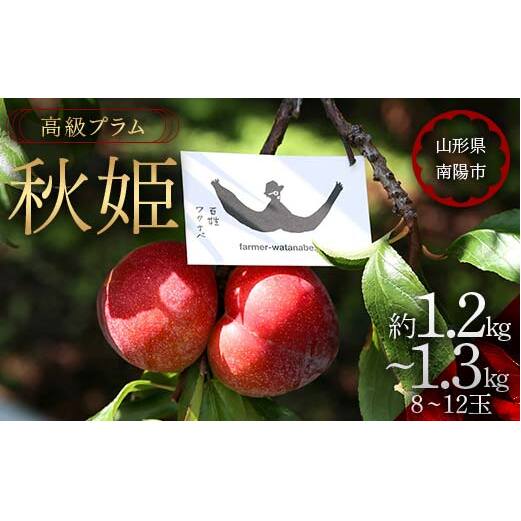 【令和8年産先行予約】 高級プラム 「秋姫」 約1.2～1.3kg (8～12玉) 《令和8年9月～発送》 『最上園』 山形県 南陽市 [685-R8]