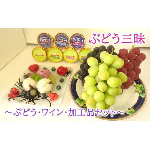 【令和8年産先行予約】 《定期便3回》 ぶどう三昧 定期便 ～ぶどう・ワイン・加工品セット～ 《令和8年7月～発送》 『漆山果樹園』 山形県 南陽市 [393-R8]