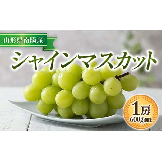 【令和8年産先行予約】 シャインマスカット 600g前後 (1房) 《令和8年9月中旬～発送》 『漆山果樹園』山形県 南陽市 [811-R8]