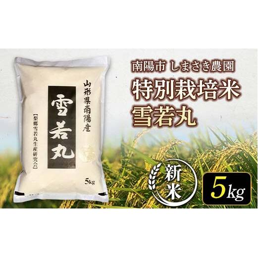 【令和7年産 新米 先行予約】 【米食味コンクール金賞受賞農園】 特別栽培米 雪若丸 5kg 《令和7年11月中旬～発送》 『しまさき農園』 米 白米 精米 ご飯 山形県 南陽市 [2555-R7]