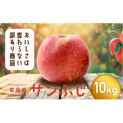 【令和7年産先行予約】 〈訳あり品 家庭用〉 りんご 「サンふじ」 約10kg バラ詰め 《令和7年12月上旬～令和8年2月下旬発送》 『カネタ高橋青果』 リンゴ 山形県 南陽市 [1959]