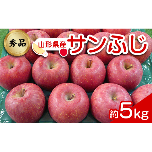 【令和7年産先行予約】 りんご 「サンふじ」 約5kg (12～23玉 秀品) 《令和7年12月上旬～令和8年2月下旬発送》 『カネタ高橋青果』 リンゴ 山形県 南陽市 [1960]