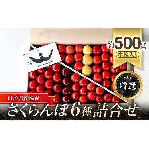 【令和8年産先行予約】 さくらんぼ 6種詰合せ 約500g (特選 木箱入り) 《令和8年6月中旬～発送》 『最上園』 サクランボ セット 食べ比べ 果物 山形県 南陽市 [681]