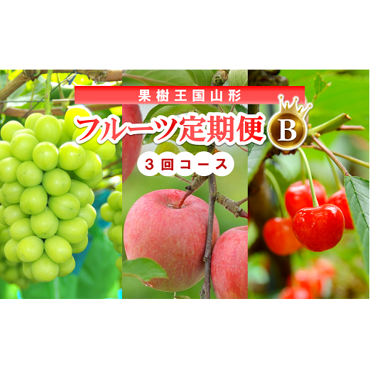 【令和8年産先行予約】 《定期便3回》 果樹王国山形 南陽のフルーツ定期便B 『マルエ青果』 果物 くだもの フルーツ 山形県 南陽市 [1494-R8]