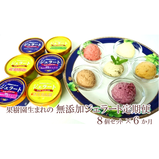 《定期便6回》 果樹園生まれの 無添加ジェラート 8個セット×6か月 『漆山果樹園』 山形県 南陽市 [497]