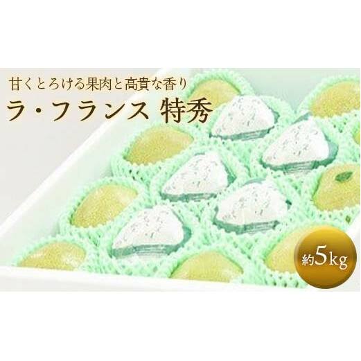 【令和7年産先行予約】 十三代目 佐藤市右衛門 ラ・フランス 約5kg (10～16玉 特秀 3～6L) 《令和7年11月上旬～発送》 『旬の果実 佐藤市右衛門農園』 山形県 南陽市 [679]