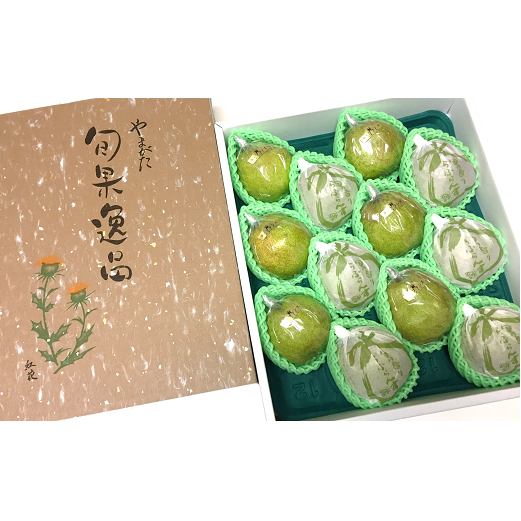 【令和7年産先行予約】 【市農業祭最優秀賞受賞者】 ラ・フランス 約5kg (8～12玉 特選 5～6L) 《令和7年11月上旬～発送》 『長谷部農園』 洋梨 梨 果物 山形県 南陽市 [1098]