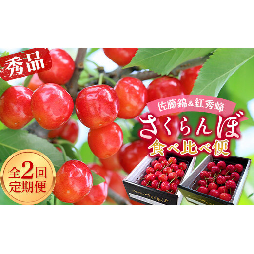 【令和8年産先行予約】 《定期便2回》 さくらんぼ食べ比べ定期便 「佐藤錦・紅秀峰」 各500g (秀品) 『マルエ青果』 果物 くだもの フルーツ 山形県 南陽市 [1888]