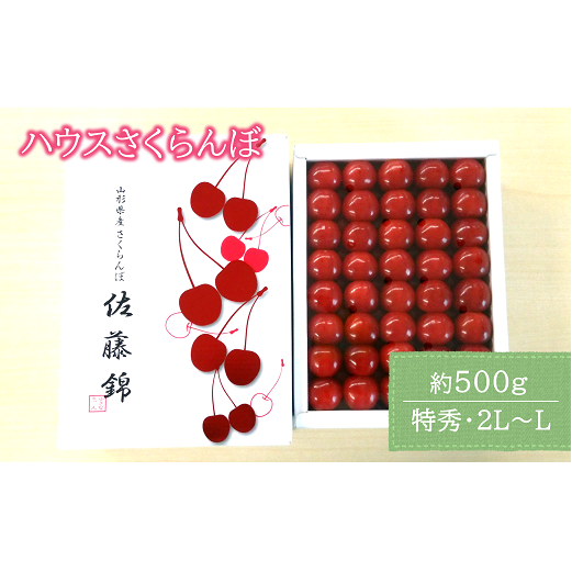 【令和7年産先行予約】 JA ハウスさくらんぼ 「佐藤錦」 約500g (特秀 2L～L) 化粧箱入り 《令和7年6月上旬～中旬発送》 『JA山形おきたま』 サクランボ 果物 フルーツ 山形県 南陽市 [860]
