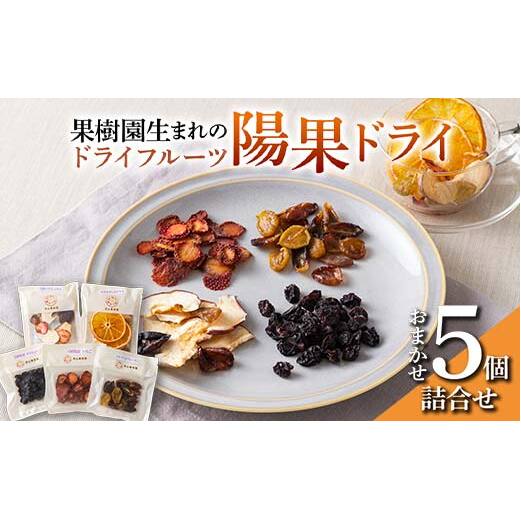 果樹園生まれの ドライフルーツ 「陽果ドライ」 おまかせ5個詰合せ 『漆山果樹園』 山形県 南陽市 [494]