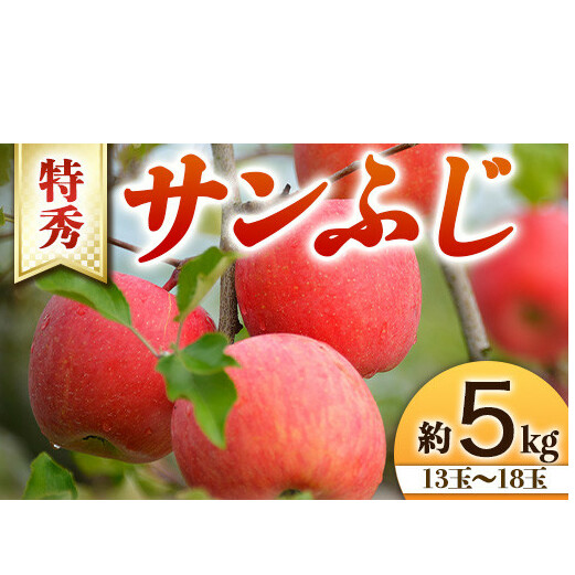 【令和7年産先行予約】 りんご 「サンふじ」 約5kg (13～18玉 特秀) 《令和7年11月下旬～発送》 『生産者 山岸 誠』 山形県 南陽市 [966]