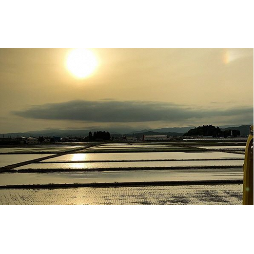 つや姫　5kg 北海道産　3袋 Amazon.co.jp: ☆【つや姫・白米】2024年山形県産｢つや姫」特別