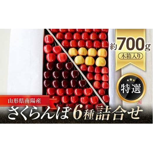 【令和8年産先行予約】 さくらんぼ 6種詰合せ 約700g (特選 木箱入り) 《令和8年6月中旬～発送》 『最上園』 さくらんぼ サクランボ 特選 6種 詰合せ 山形県 南陽市 [680]