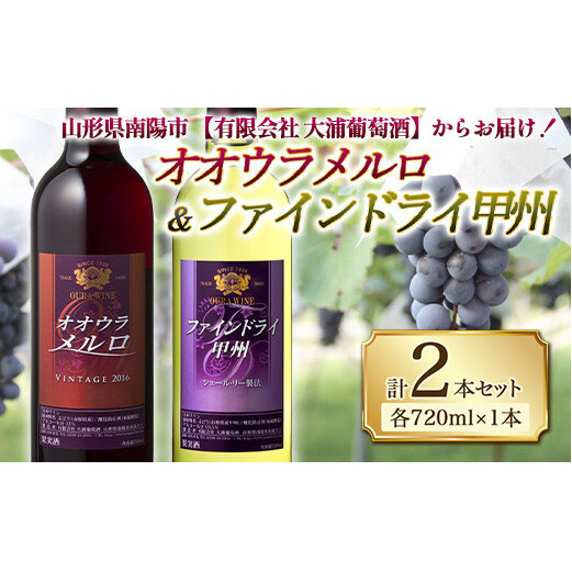 大浦葡萄酒 オオウラメルロ ＆ ファインドライ甲州 (各720ml×1本) 『(有)大浦葡萄酒』 山形県 南陽市 [1079]
