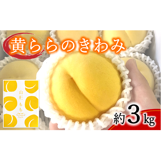 【令和7年産先行予約】 黄桃 「黄ららのきわみ」 約3kg (9～12玉) 《令和7年9月中旬～発送》 『南陽中央青果市場』 桃 もも 果物 フルーツ デザート 山形県 南陽市 [1045]
