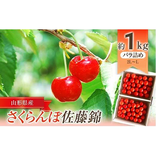 【令和7年産先行予約】 JA さくらんぼ 「佐藤錦」 約1kg (約500g×2パック 特秀 L～2L) バラ詰め 《令和7年6月中旬～発送》 『JA山形おきたま』 サクランボ 果物 フルーツ 山形県 南陽市 [723]