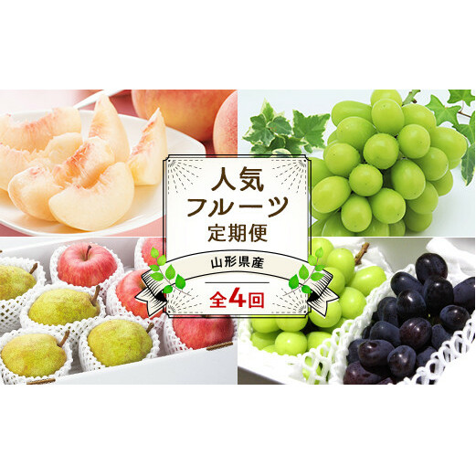【令和7年産先行予約】 《定期便4回》 JA 夏秋冬人気フルーツ定期便 『JA山形おきたま』 山形県 南陽市 [1492]