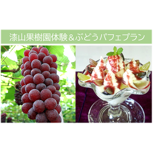 漆山果樹園 ぶどう狩り体験 & ぶどうパフェ プラン 2名様分 『漆山果樹園』 山形県 南陽市 [3014-2]