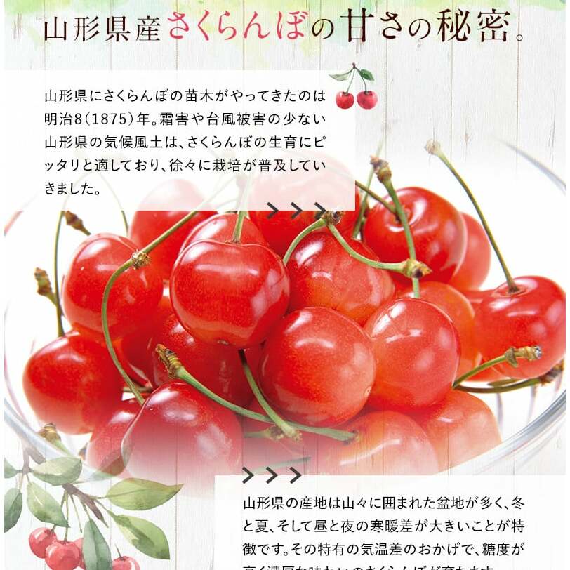 令和6年産先行予約】 さくらんぼ 「紅秀峰」 約1kg (秀 L以上) バラ詰め 《令和6年6月下旬～発送》 『生産者おまかせ』 サクランボ 果物  フルーツ 産地直送 生産農家直送 山形県 南陽市 [887] | 山形県南陽市 | JRE MALLふるさと納税