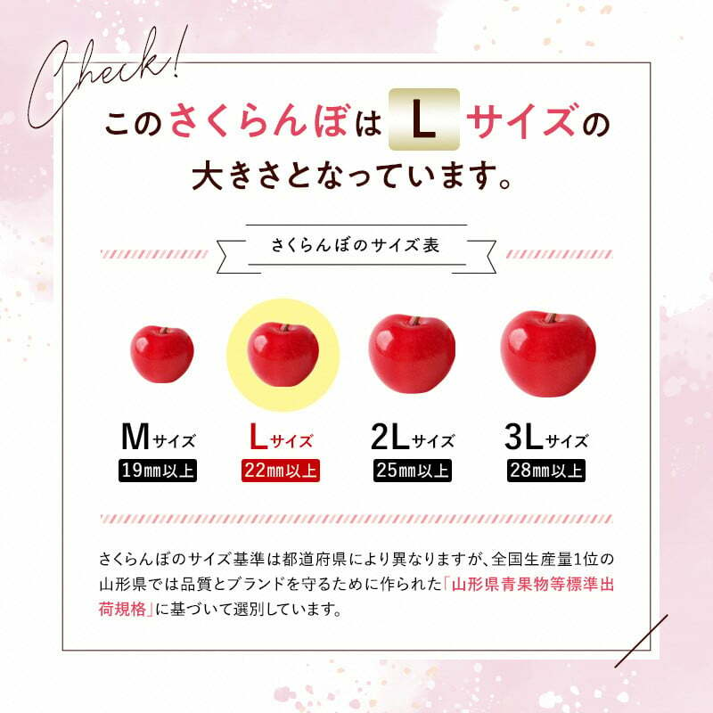 令和6年産先行予約】 さくらんぼ 「紅秀峰」 約1kg (秀 L以上) バラ詰め 《令和6年6月下旬～発送》 『生産者おまかせ』 サクランボ 果物  フルーツ 産地直送 生産農家直送 山形県 南陽市 [887] | 山形県南陽市 | JRE MALLふるさと納税