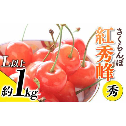 【令和8年産先行予約】 さくらんぼ 「紅秀峰」 約1kg (秀 L以上) バラ詰め 《令和8年6月下旬～発送》 『生産者おまかせ』 サクランボ 果物 フルーツ 産地直送 山形県 南陽市 [887]