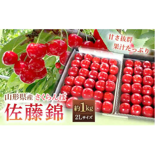 【令和7年産先行予約】 さくらんぼ 「佐藤錦」 約1kg (秀 2L以上) パック詰め 《令和7年6月中旬～発送》 『田口農園』 サクランボ 果物 フルーツ 産地直送 山形県 南陽市 [1396]