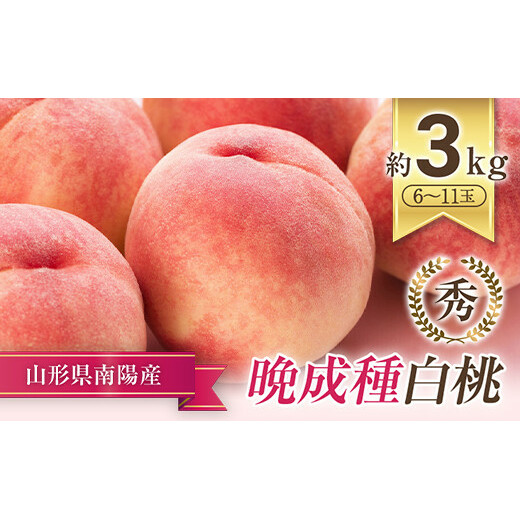 【令和7年産先行予約】 晩成のもも 「だて白桃・さくら・西王母 等」 約3kg (6～11玉) 《令和7年9月中旬～発送》 『生産者 高橋 賢一』 桃 モモ 果物 フルーツ 山形県 南陽市 [1107]