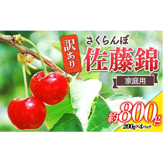 【令和8年産先行予約】 〈訳あり品 家庭用〉 さくらんぼ 「佐藤錦」 約800g (200g×4パック Mサイズ) 《令和8年6月中旬～発送》 『田口農園』 小分け 山形県 南陽市 [1691]
