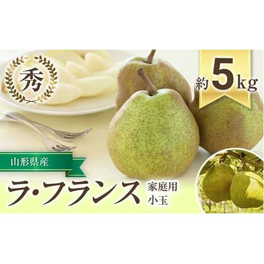 【令和7年産先行予約】 〈家庭用〉 小玉 ラ・フランス  約5kg (20～25玉 秀) 《令和7年10月下旬～11月下旬発送》 『フードシステムズ』 ラフランス 西洋梨 洋なし 果物 フルーツ デザート 山形県 南陽市 [1391-R7]