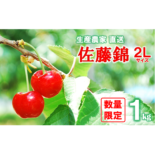 【令和7年産先行予約】 さくらんぼ 「佐藤錦」 約1kg (秀 2L) バラ詰め 《令和7年6月中旬～発送》 『田中農園』 サクランボ 果物 フルーツ 産地直送 生産農家直送 山形県 南陽市 [1428]