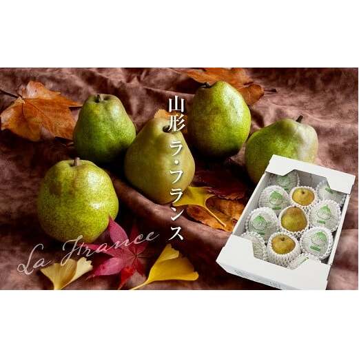 【令和7年産先行予約】 ラ・フランス 化粧箱入 約3kg (8～12玉 秀 L～2L) 《令和7年11月下旬～発送》 『Yamagataうまいな中村屋』 梨 果物 山形県 南陽市 [1742]