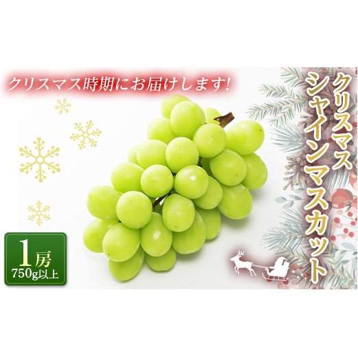 【令和7年産先行予約】 クリスマス シャインマスカット 750g以上 (1房 秀) 《令和7年12月19日～発送》 『フナヤマ農園』 山形県 南陽市 [1112]