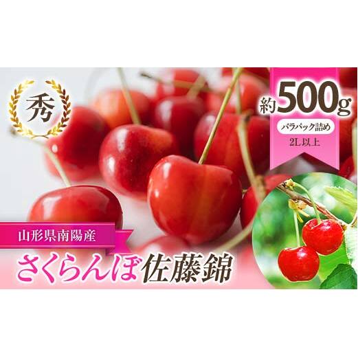 【令和8年産先行予約】 さくらんぼ 「佐藤錦」 約500g (秀 2L以上) バラパック詰め 《令和8年6月上旬～発送》 『生産者 佐藤 勇二』 [2234]