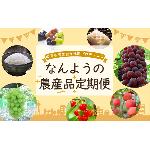 《定期便5回》 南陽市商工会女性部プロデュース 【なんようの農産品 定期便】 山形県 南陽市 [2266]