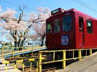 3．養老鉄道存続支援