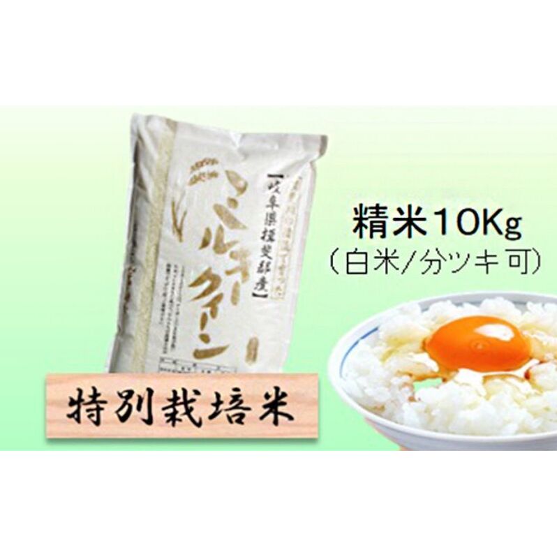 【令和7年産】特別栽培米 10kg【白米、7分ツキ】（ミルキークイーン）