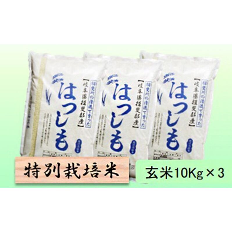 【令和7年産】特別栽培米 30kg【玄米】（ハツシモ）