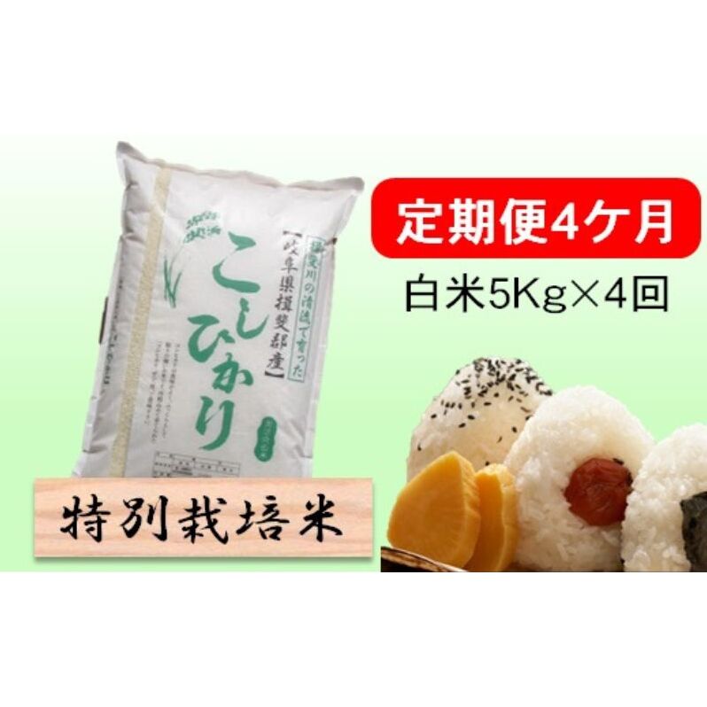 定期便4カ月【令和7年産】特別栽培米5kg【白米】(コシヒカリ) 米 お米 白米 コメ ご飯 定期 岐阜県 池田町