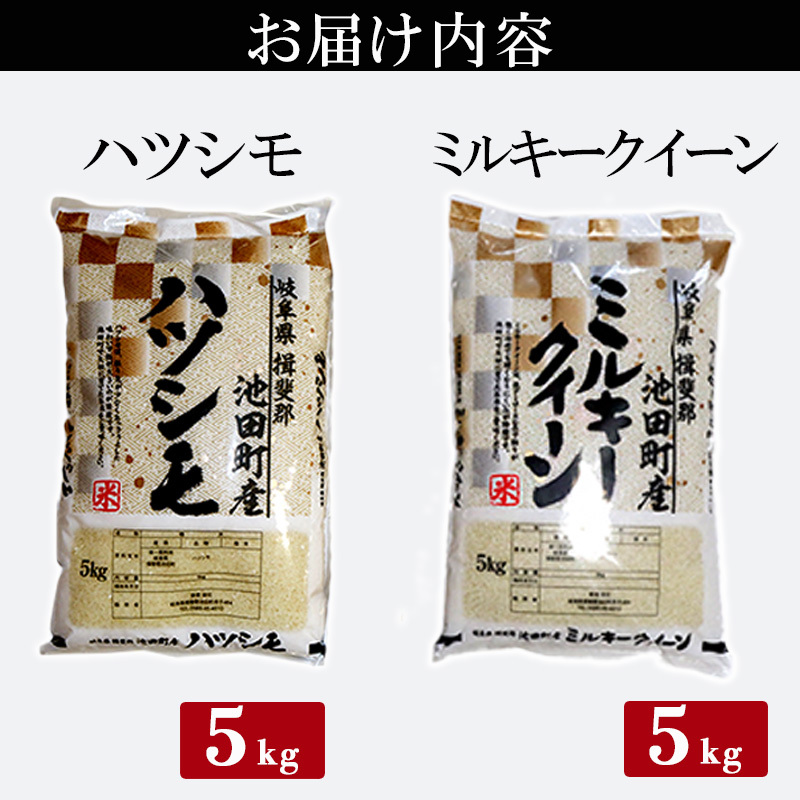 米 10kg (各5kg) ハツシモ ミルキークイーン 池田町産 8分づき 分つき精米 お米 おこめ こめ コメ ごはん ご飯 有機肥料 減農薬栽培  はつしも ミルキークィーン 岐阜県 | 岐阜県池田町 | JRE MALLふるさと納税