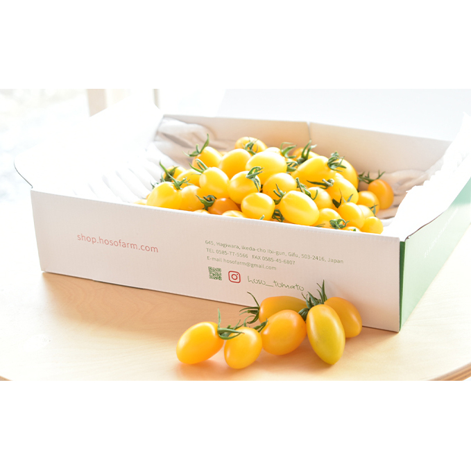 食卓を彩るトマト。あま～いイエロースピカ（1kg） とまと 野菜 ミニトマト 