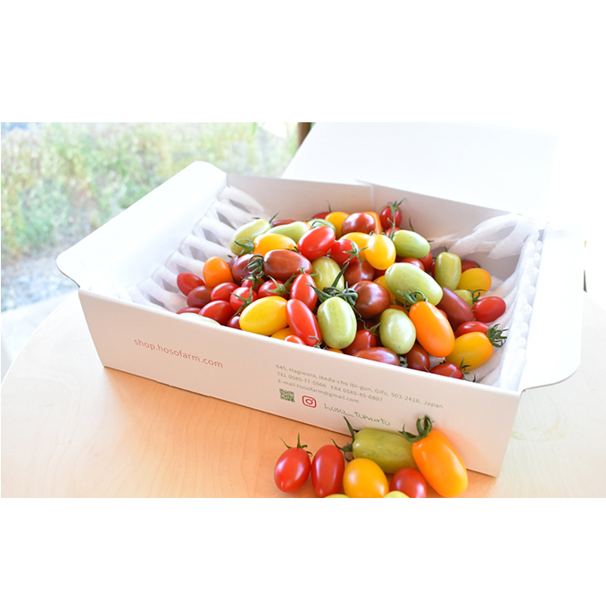 見て楽しい、食べて美味しい。☆トマトの宝石箱☆ジュエルスピカ（1.3kg） 野菜 とまと 