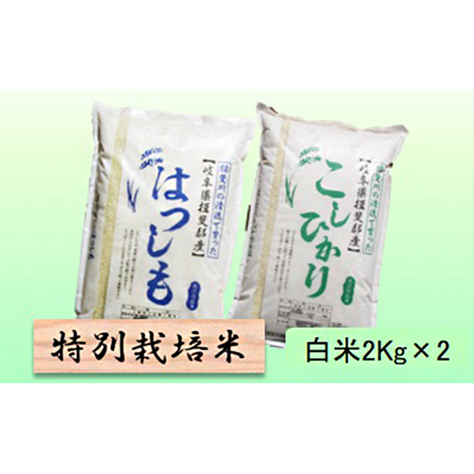 特別栽培米★白米4kg 【ハツシモ・コシヒカリ】 お米 ブランド米 銘柄米 精米 ご飯 おにぎり お米の王様 大粒 アッサリ